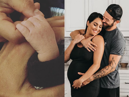 See Stunning Photo Of Nikki Bella And Her Family
